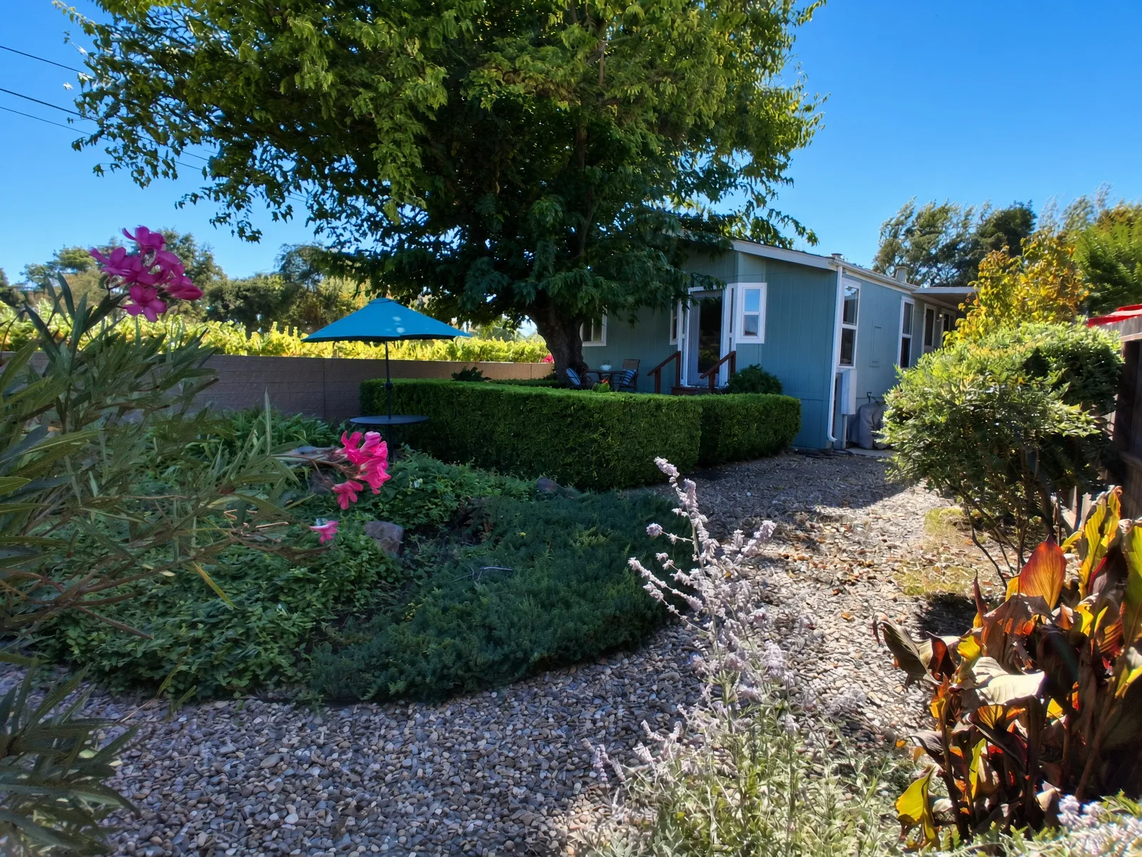 Landscaped garden yard
